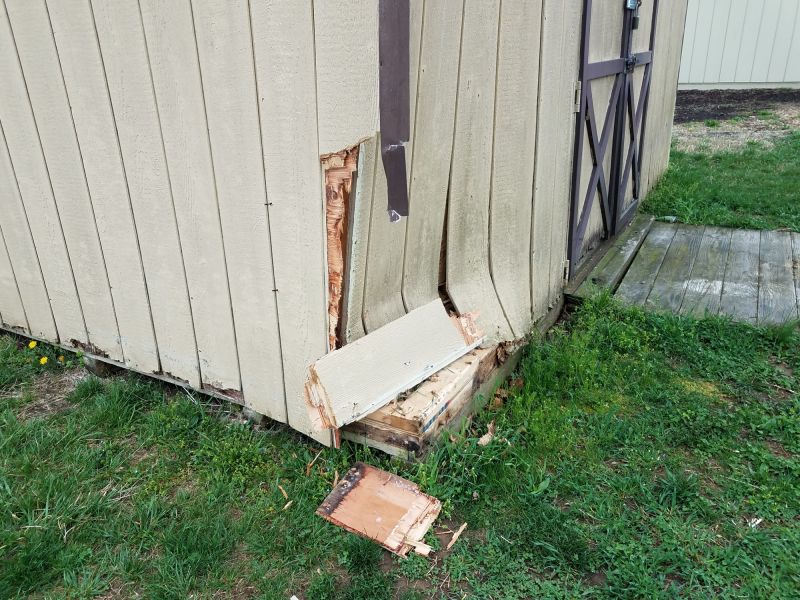 Cost of Shed Repair — Cost of Shed Repair