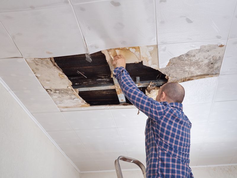 Cost of Shed Repair — Cost of Shed Repair